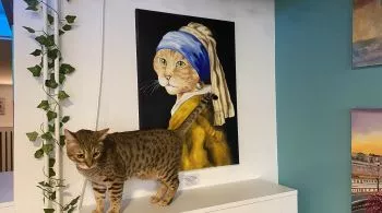 A budapesti Cat Museumban jártunk