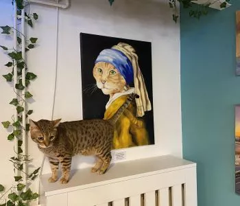 A budapesti Cat Museumban jártunk