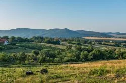 5 bakancslistás Kéktúra útvonal a Bujdosók lépcsőjétől a festői zempléni várakig
