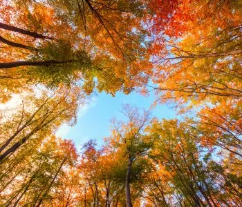 Kőpiramis, szurdokvölgy és álomszép panorámák - 3 magyar település az őszi kirándulásokhoz 