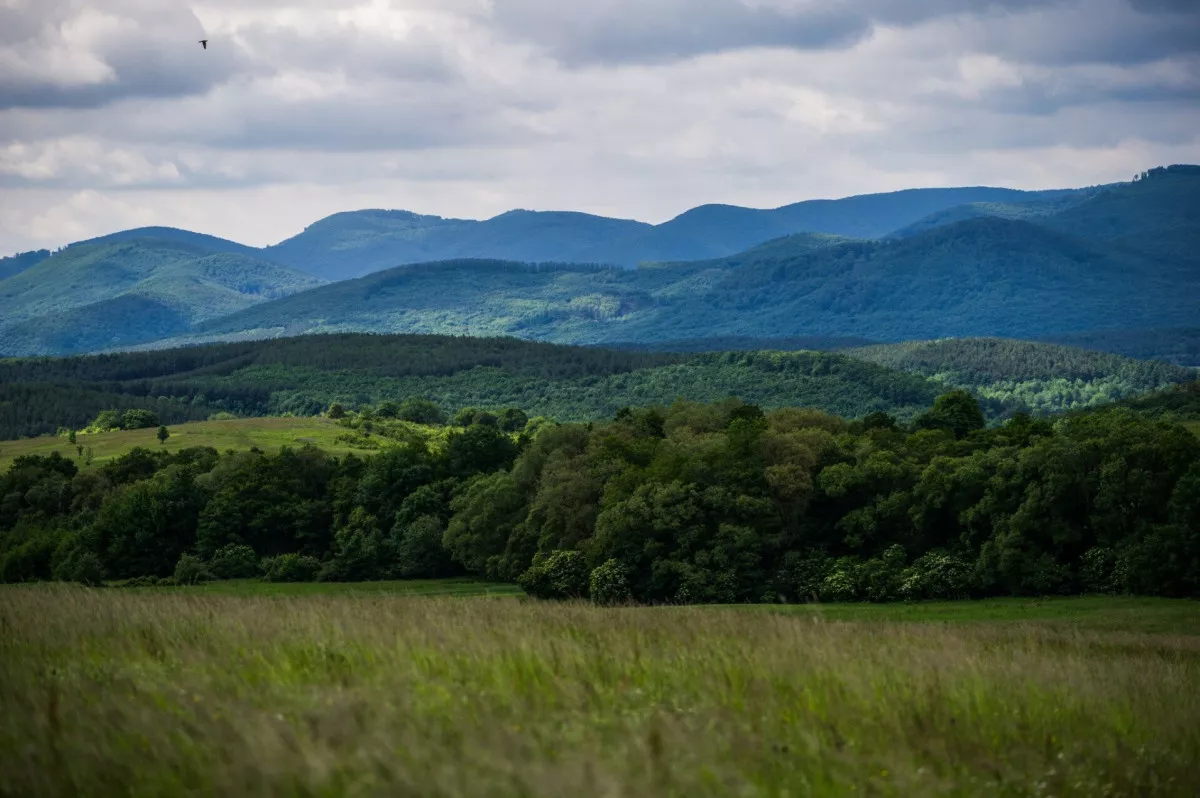 Csodás panorámák a Kéktúra útvonalán, ahonnan terepasztallá törpül a világ - OKT. 27. szakasz/ Fotó: kektura.hu, Burger Barna