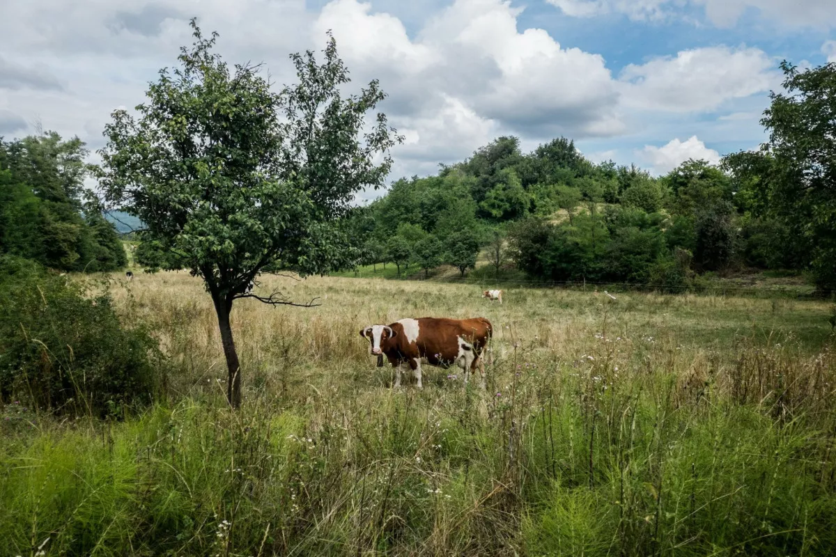 Csodás panorámák a Kéktúra útvonalán, ahonnan terepasztallá törpül a világ - OKT. 4. szakasz/ Fotó: kektura.hu, Burger Barna