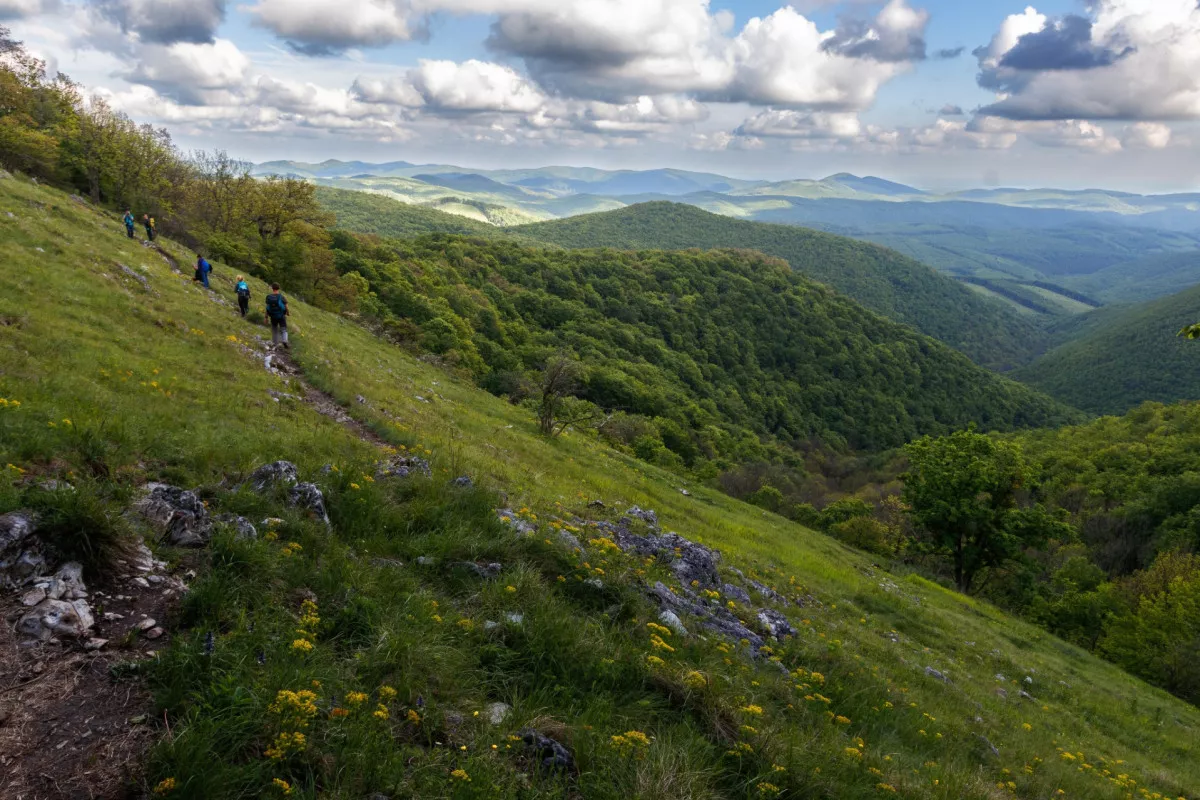 Csodás panorámák a Kéktúra útvonalán, ahonnan terepasztallá törpül a világ - OKT. 23. szakasz/ Fotó: kektura.hu, Farkas Péter