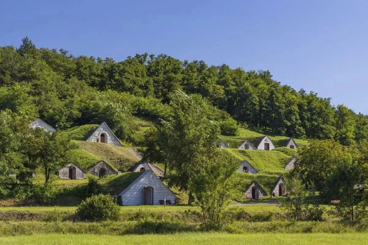 Pincefalvak, borospincék és pincesorok Magyarországon - hercegkúti gombos-hegyi pincesor