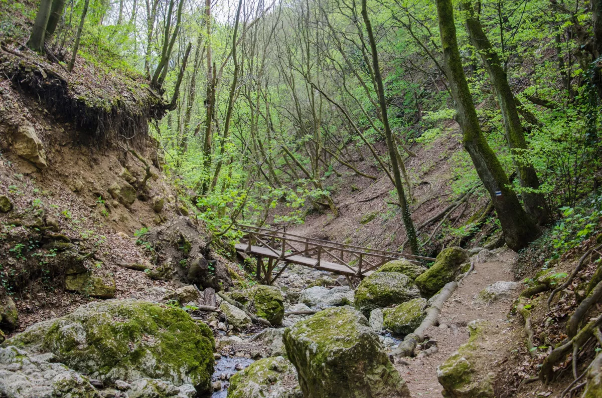 A vadregényes Pilis 7 mesés kincse - Dera-szurdok