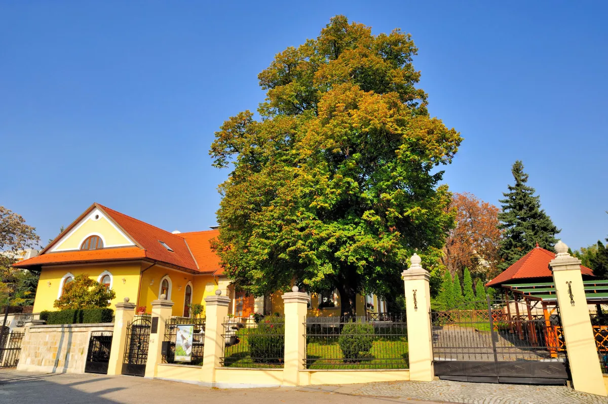 5+2 pincészet, ha nem tudsz dönteni a bor és a pezsgő között - Fotó: Garamvári Szőlőbirtok (Balatonlelle)