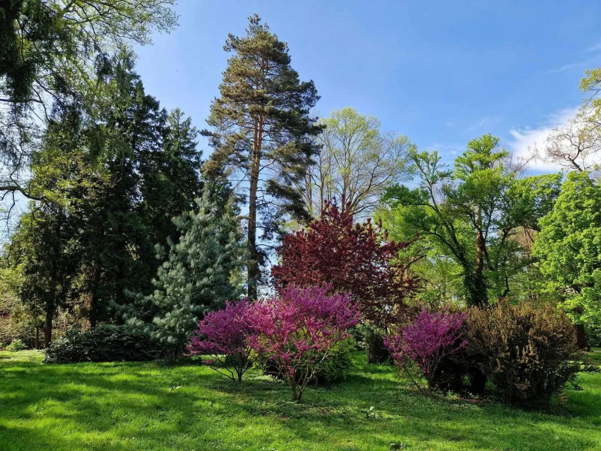 Utazzatok el a növények birodalmába, a Kámoni Arborétumba! - Fotó: Kámoni Arborétum Facebook oldala