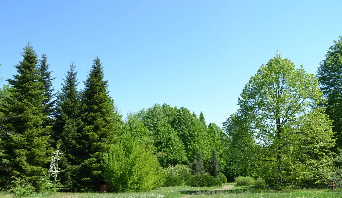 Összegyűjtöttük Kaecskemét legizgalmasabb látnivalóit - Kecskeméti Arborétum/ Fotó: Siposné Barát Mónika