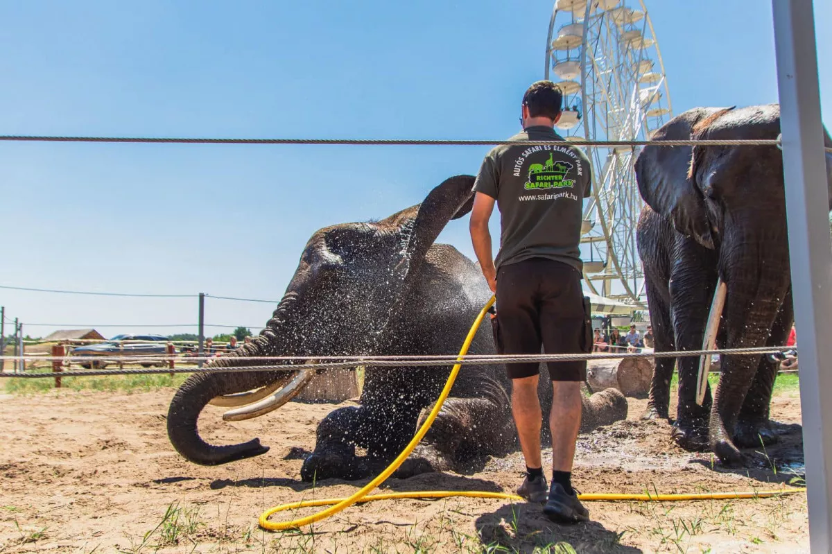 Az élménypark 2023. március 31-től várja a látogatókat / Fotó: Richter Safari Park Kiskőrös