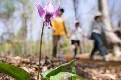 Palócföld szakadékán át a festői kálváriákig – egynapos kirándulástippek tavaszi túrázásokhoz