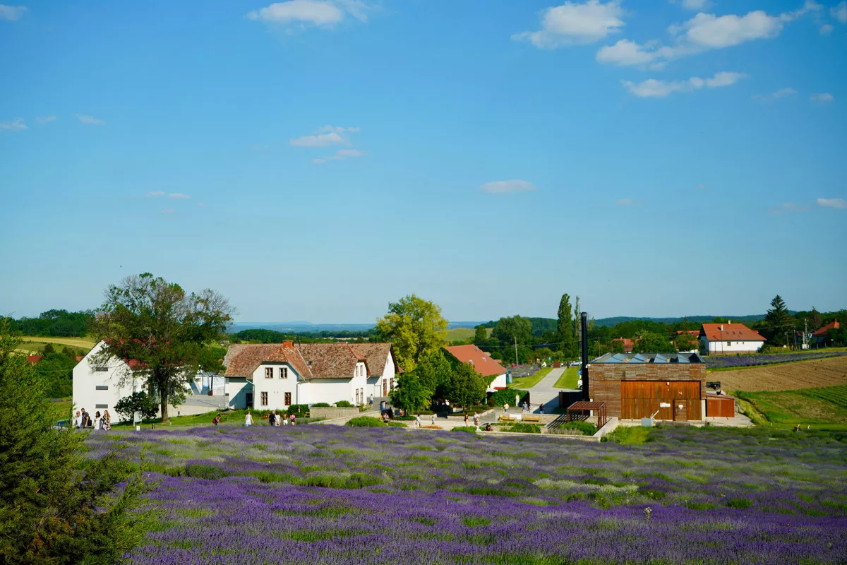 Pannonhalma látnivalói - Pannonhalmi Főapátság Arborétum és Gyógynövénykert