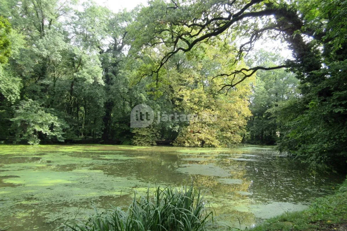 Fedezd fel hazánk arborétumait! - Sárvári Arborétum/ Fotó: ittjartam.hu