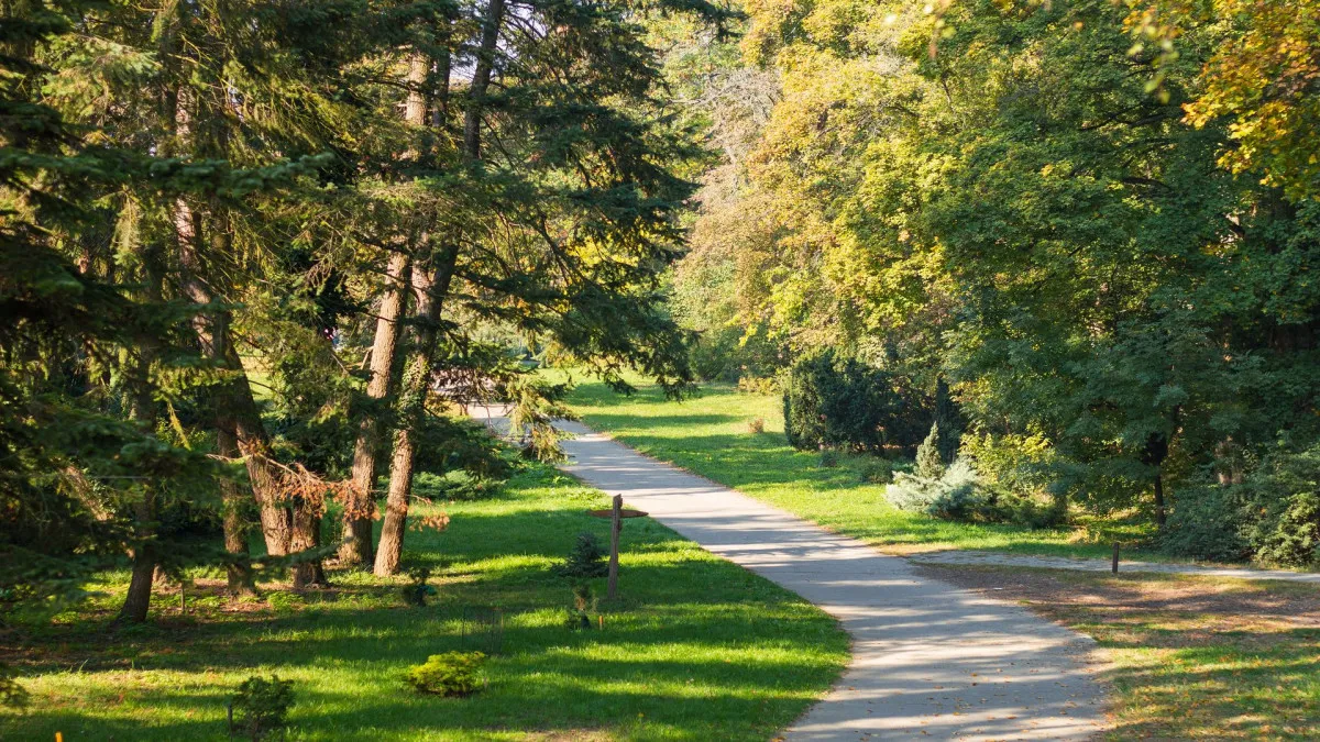 Fedezd fel hazánk arborétumait! - Fotó: Szarvasi Arborétum