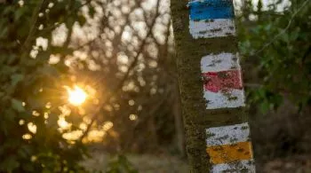 Túraetikett: 7 aranyszabály kirándulóknak, hogyan kell viselkedni a természetben