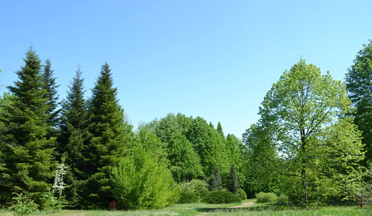 5 utazásra csábító csodahely, ami nyomban elvarázsol - Kecskemét, Arborétum