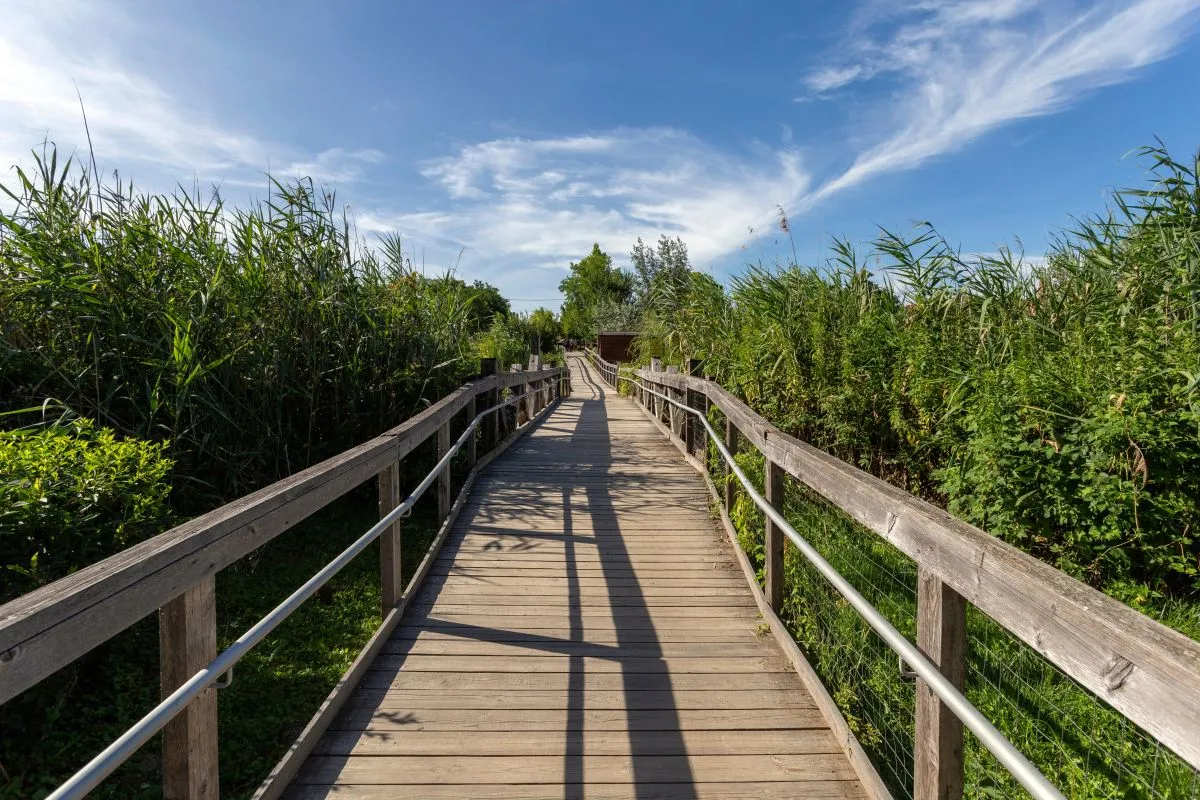 Látnivalók a Tisza-tónál - Tisza-tavi Vízi Sétány (Poroszló)