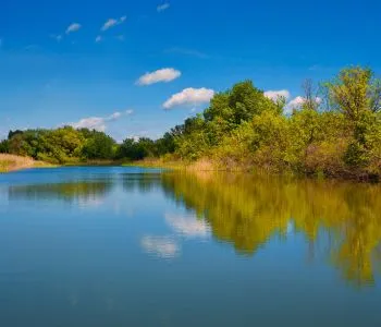 Tündéri vízi sétány és hórihorgas kilátó ‒ útikalauz a Tisza-tóhoz