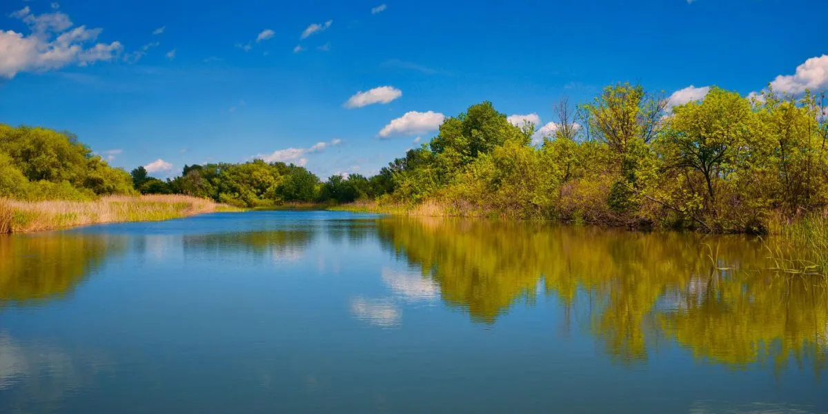 Tündéri vízi sétány és hórihorgas kilátó ‒ útikalauz a Tisza-tóhoz