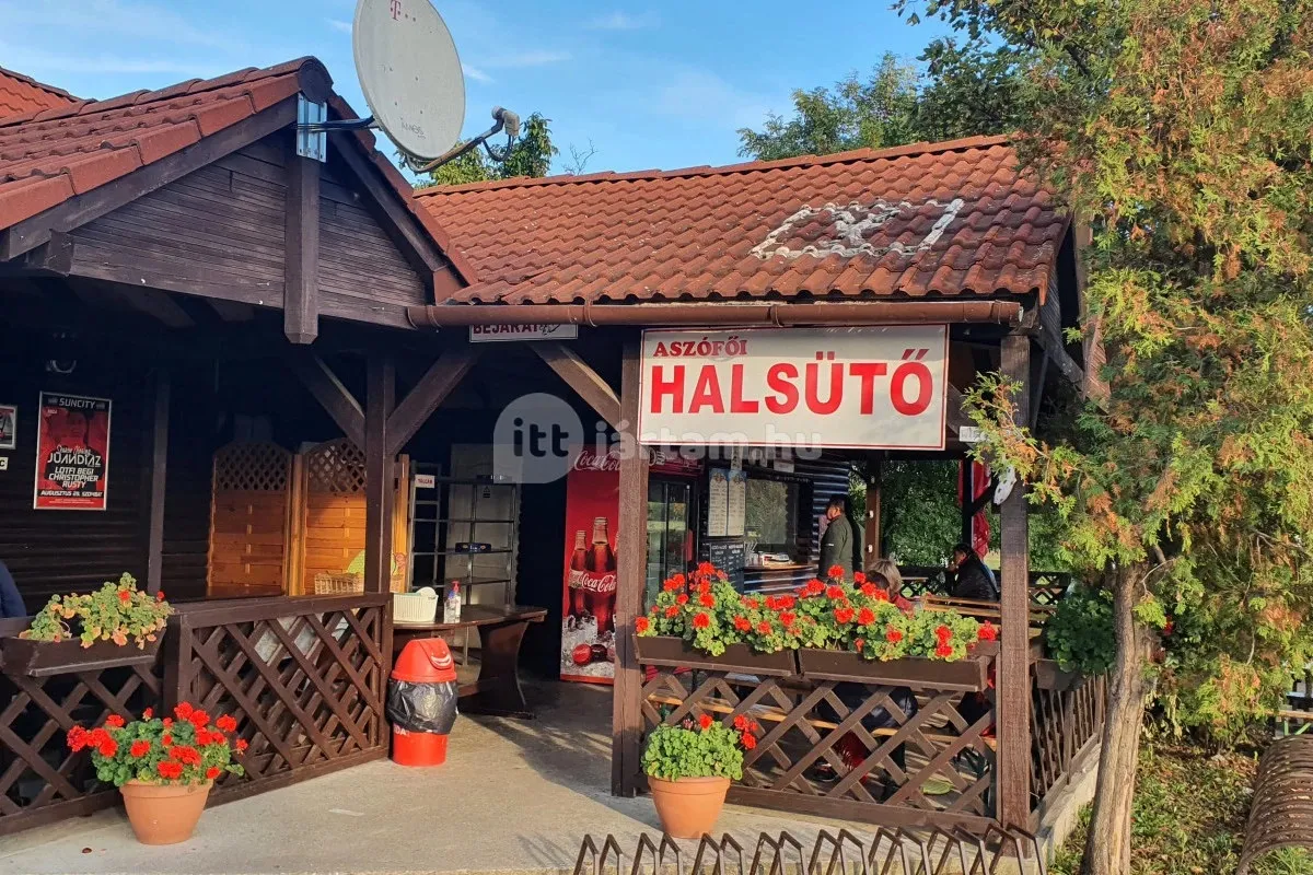 Kihagyhatatlan éttermek a Balaton-felvidéken - Aszófői Halsütő