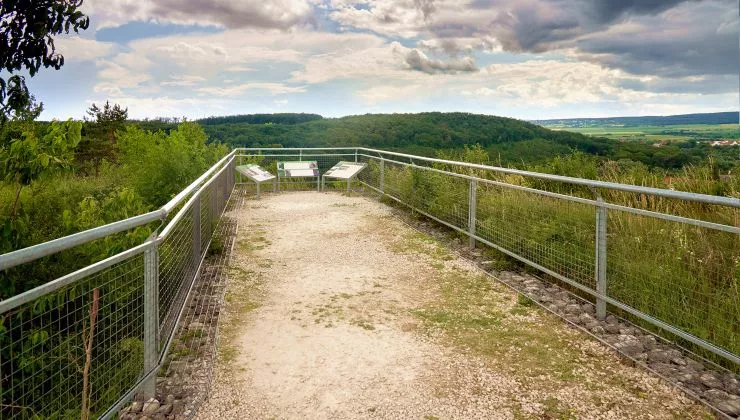 Fertőrákosi Kőfejtő és Barlangszínház - a Szárhalmi-erdőre néző kilátó