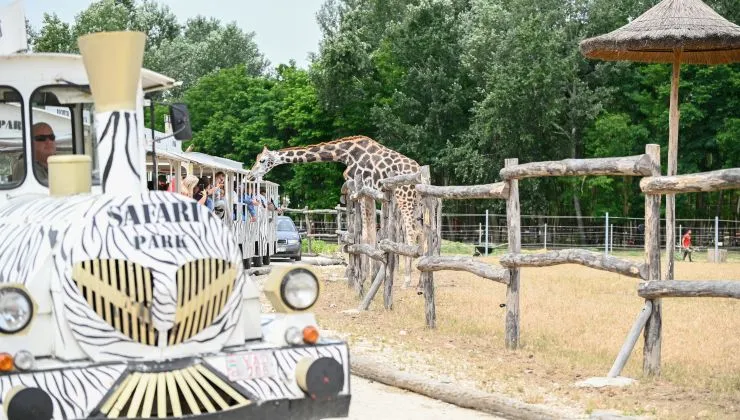 Fotók: Richter Safari Park