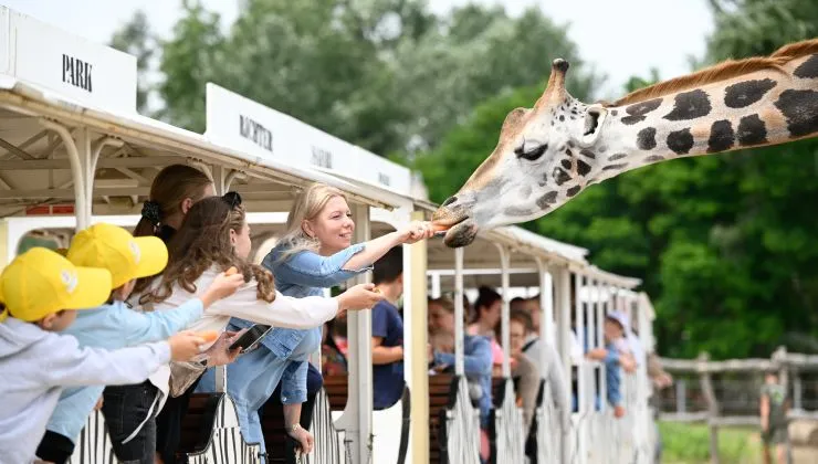 Fotók: Richter Safari Park