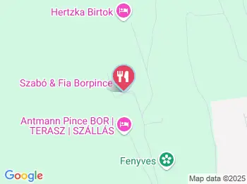 Szabó és Fia Borpince Balatoncsicsó a térképen