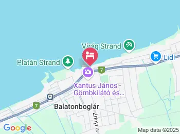 Steiner Vízközeli Apartman Balatonboglár a térképen