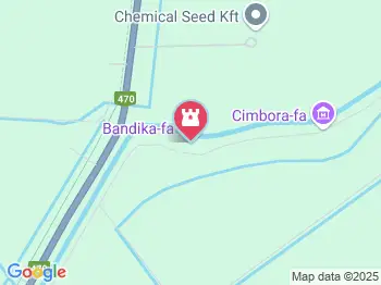 Bandika-fa Békéscsaba a térképen