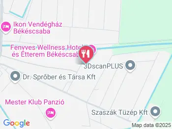 Fenyves Wellness Hotel és Étterem Békéscsaba Békéscsaba a térképen