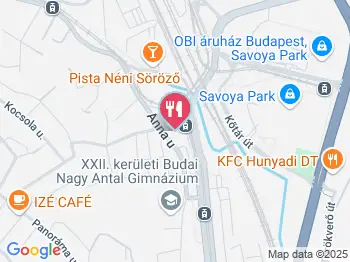 Pizza Pince Budapest a térképen