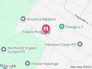 Fekete Pince Cegléd a térképen