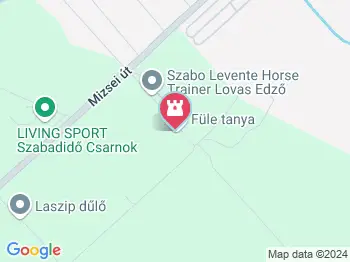 Füle Tanya Cegléd a térképen