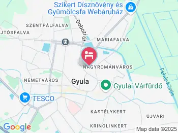 Erzsébet Panzió Gyula a térképen