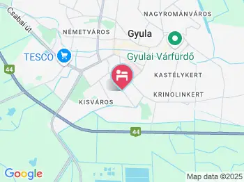 Fröhner Ház Gyula a térképen