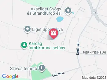 Dombra - a Róna hangja Karcag a térképen