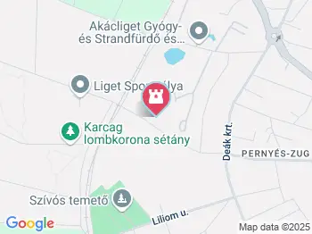 Rónai malom Karcag a térképen