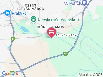 Pension Szálló és Kemping Kecskemét a térképen