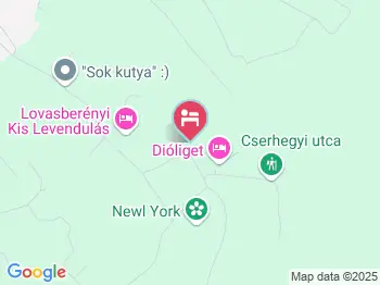 Dióliget Lovasberény a térképen