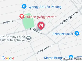Zöld elefánt Makó a térképen