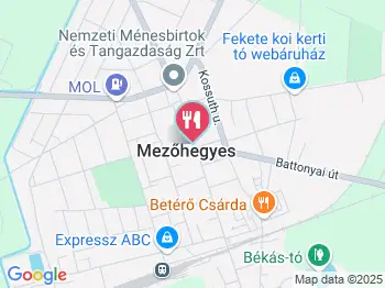 Hotel Nonius étterme Mezőhegyes a térképen