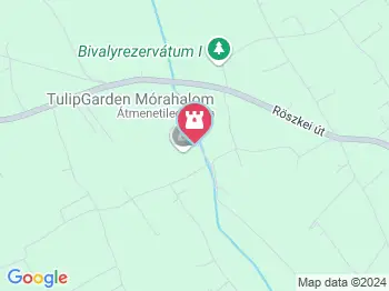 Tulipánszüret TulipGarden Mórahalom Mórahalom a térképen