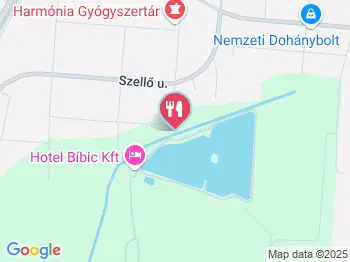 Tóparti Vendéglő Nyíregyháza a térképen