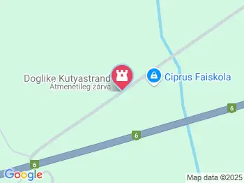 DogLike Kutyastrand Pécs a térképen