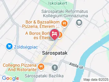 Rákóczi Panzió Sárospatak a térképen