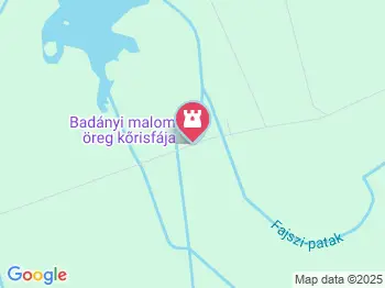 Badányi malom öreg kőrisfája Somogyfajsz a térképen