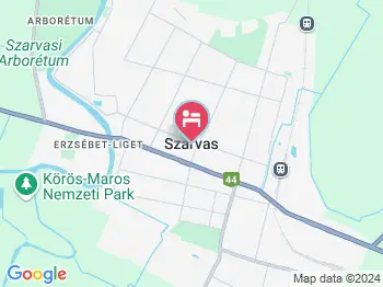 Arany Vendégház Szarvas a térképen