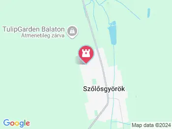 Tulipánszüret TulipGarden Balaton Szőlősgyörök a térképen