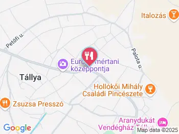 Homoky Család Pincészete Tállya a térképen