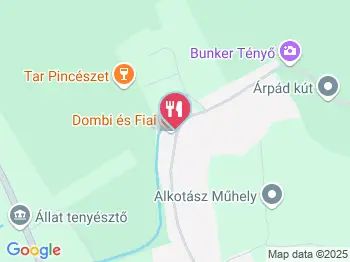 Dombi & Fiai Vendégfogadó étterme Tényő a térképen